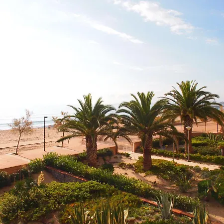 Miramar 9a * Rosas
