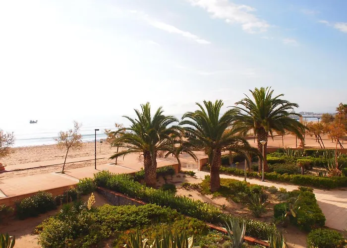 Miramar 9a * Rosas